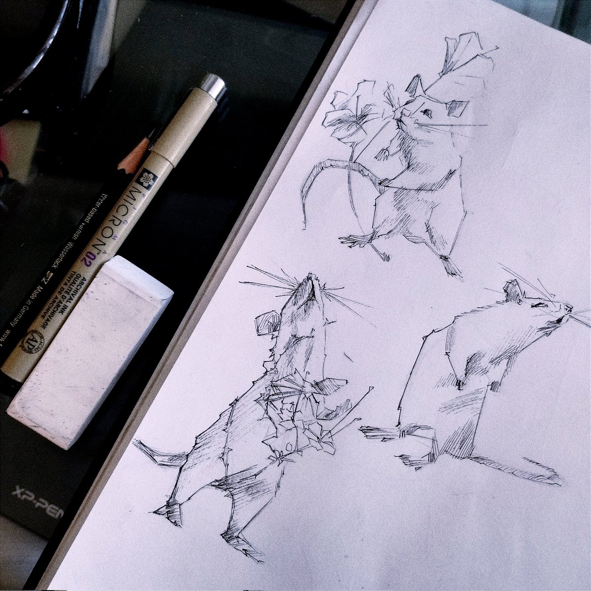 emptycat__'s tweet image. #draw #rat #skectbook #art #drawing