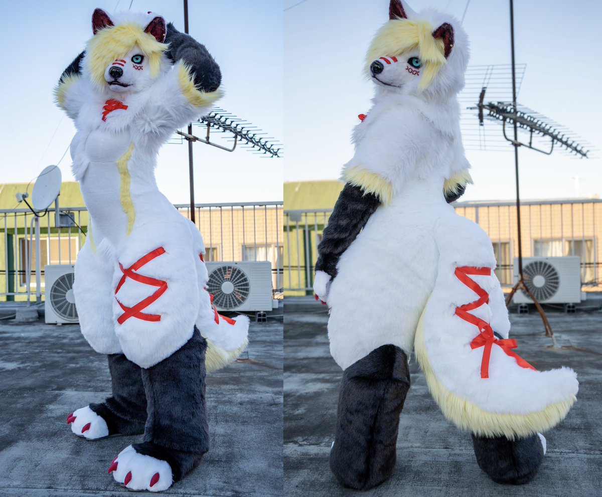 シュカをリメイクしました！
Amenote Studio初のリアル系フルスーツ作品です🐺🎀
#Amenote_Studio