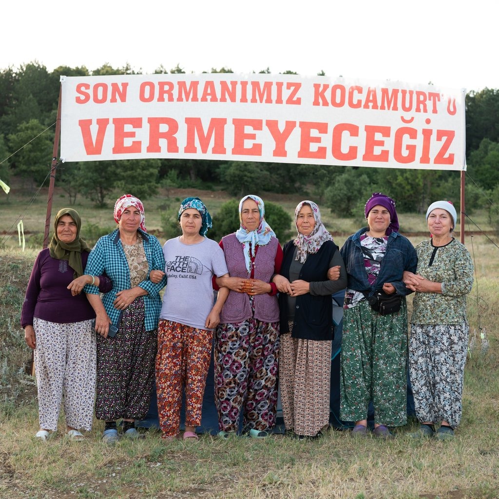 Kalemoğlu Ormanını Savunuyor tweet media