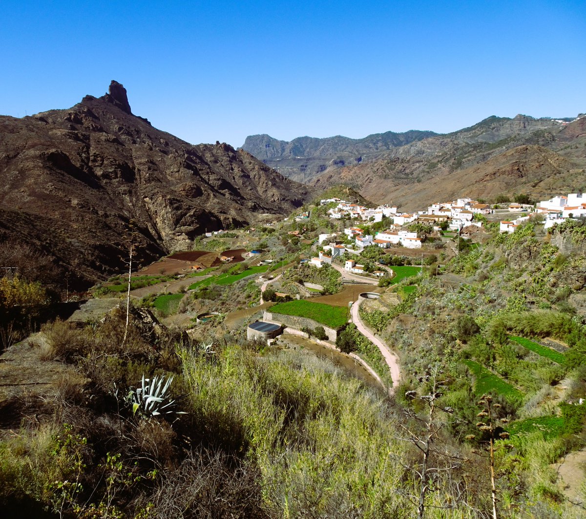 SueC_WordLoft's tweet image. Visiting the mountainous region of Gran Canaria was the highlight of our holiday.
New blog post: wordloft.co.uk/blog/mountains…
#grancanaria #teror #tejeda #fataga #spain #mountains