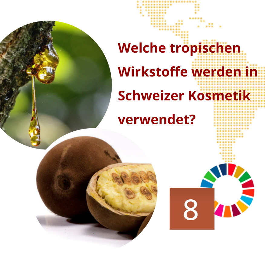 24xNachhaltig tweet media