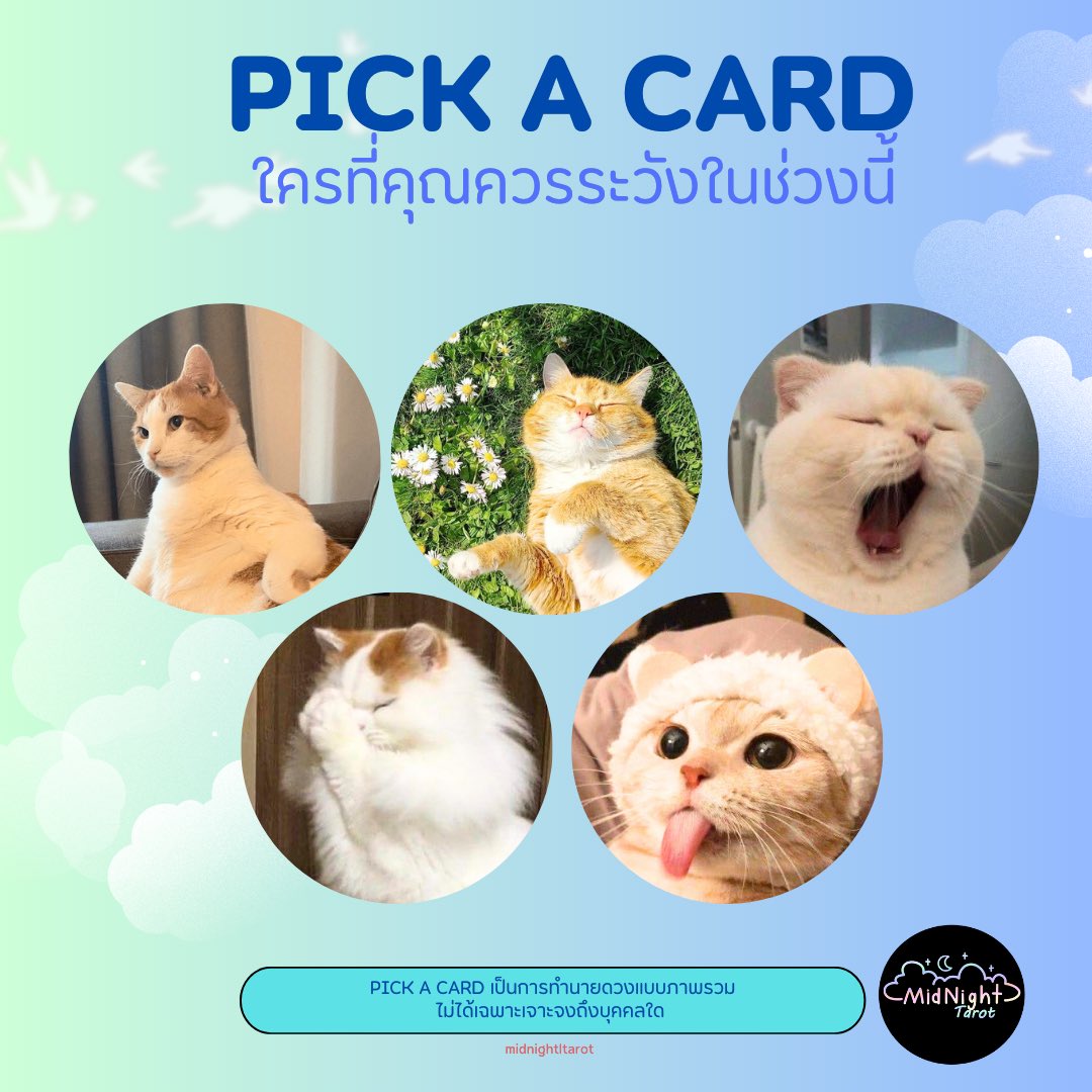 ✨MidnightlTarot #ดูดวงเที่ยงคืน ✨ tweet media