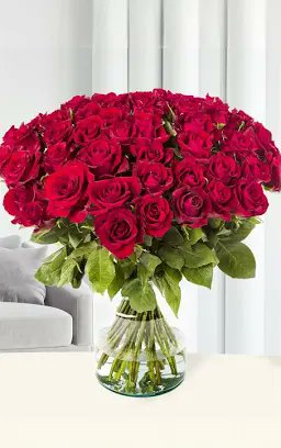 I love beautiful roses flowers