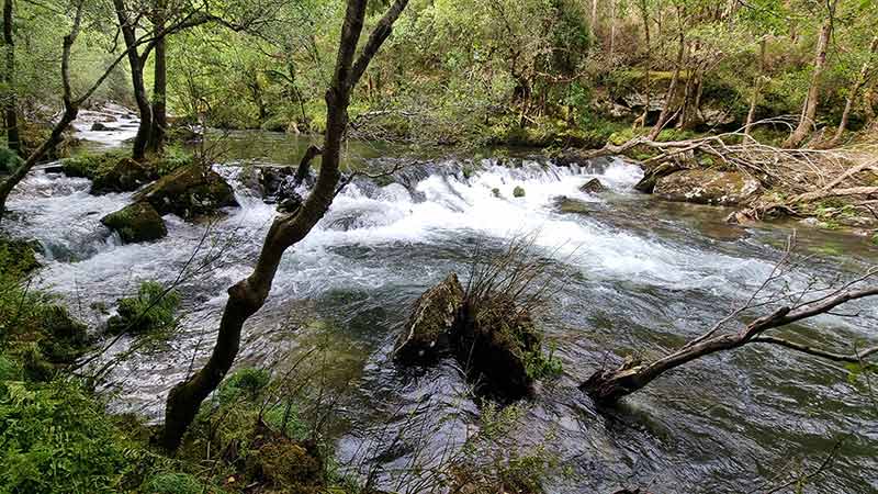 Entretenida ruta siguiendo el curso del río Verdugo.

#NatureBeauty #wanderlust #hikingadventures #NaturePhotography #photooftheday #FelizDomingo