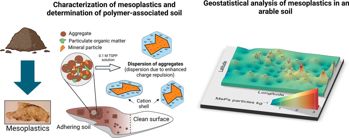 European Journal of Soil Science tweet media