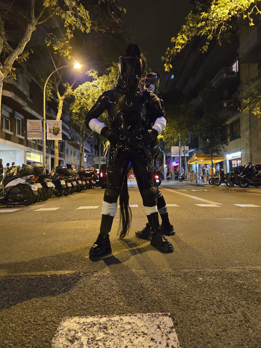 Colt Stud tweet media