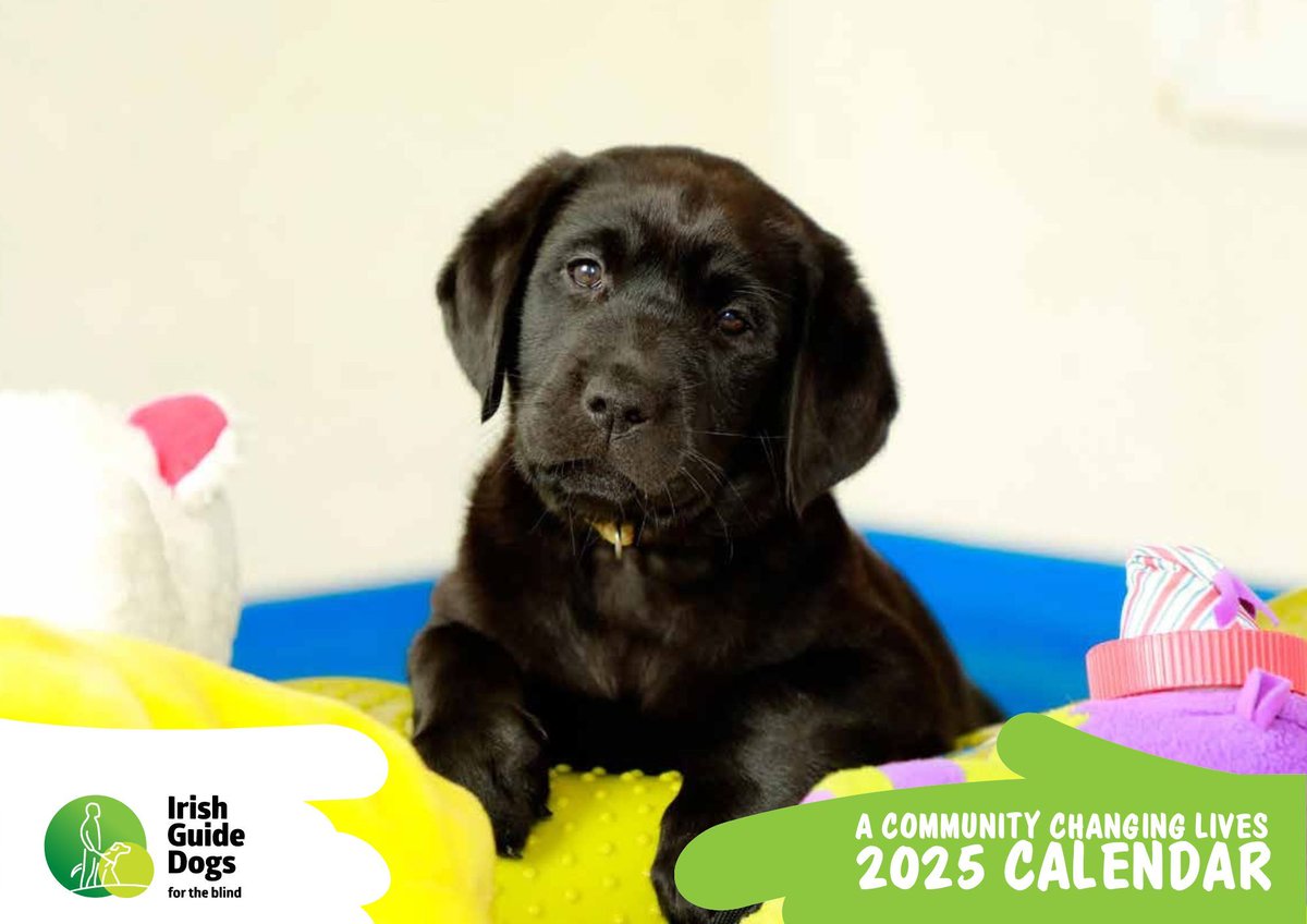 Irish Guide Dogs for the Blind tweet media