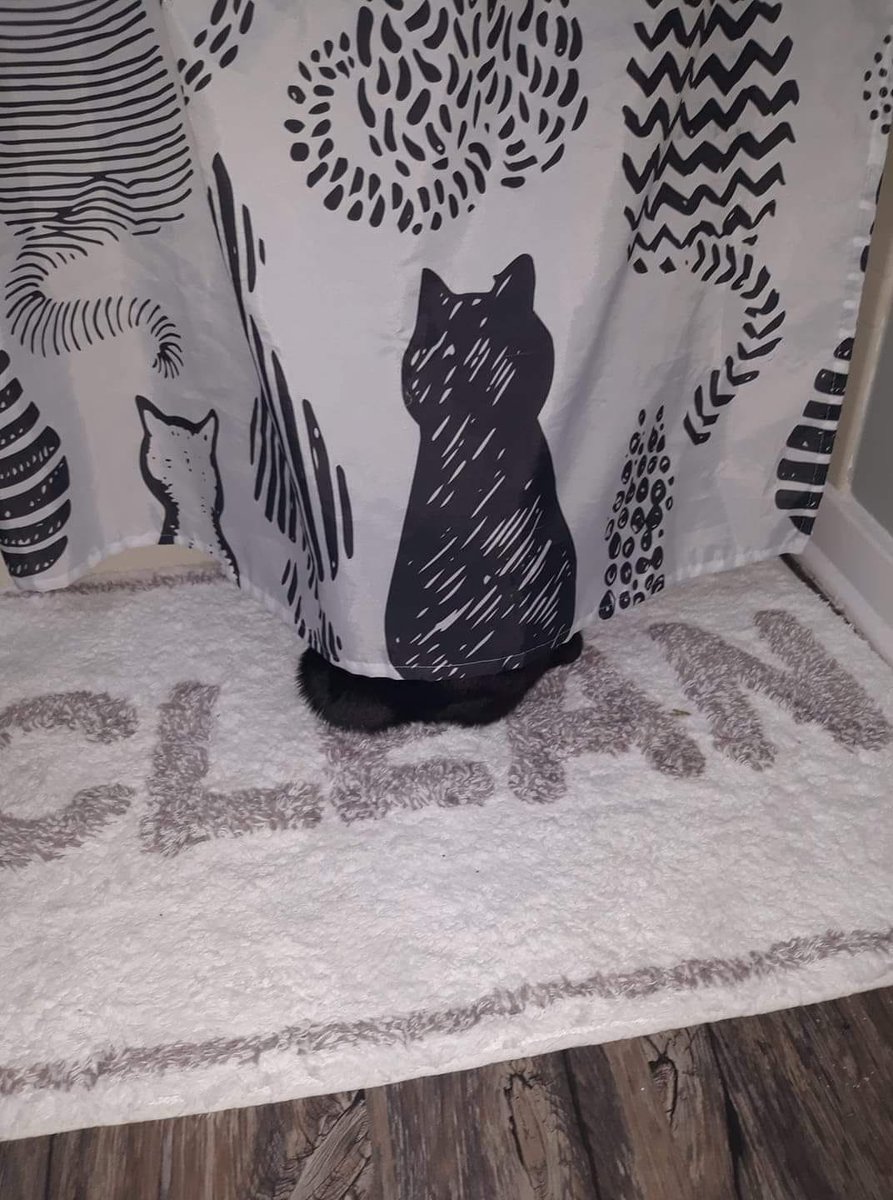 Thereisnocat_'s tweet photo. https://t.co/W0ZwEDHpCf