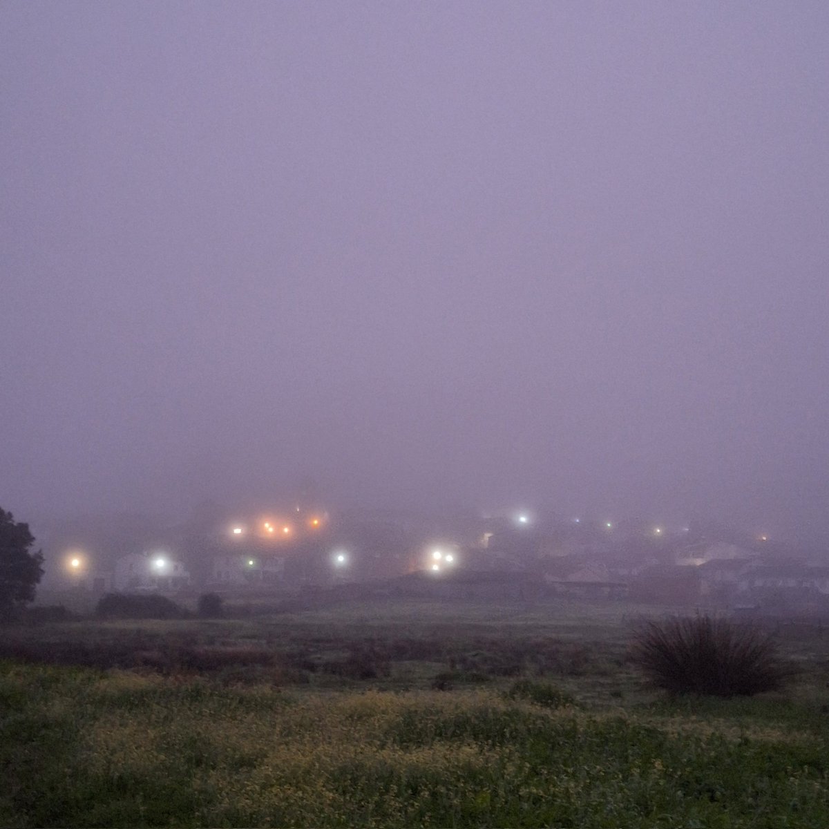 HelechosaM's tweet photo. Niebla. 🌫

#Helechosa #Extremadura  #Badajoz #LaSiberia https://t.co/8Yq8a437Tp