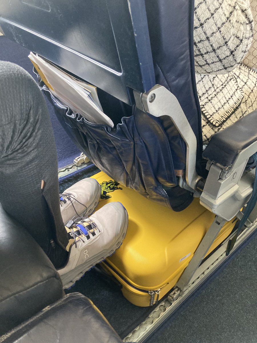 Lisa Griffiths tweet media