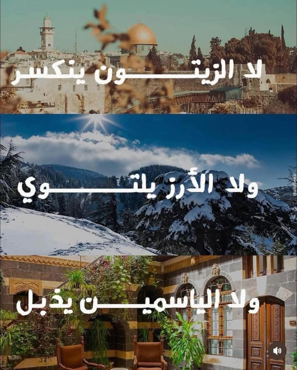NElgaafry's tweet photo. الديارُ لأهلها والظلمُ زائل ❤️‍🩹 https://t.co/5o1eUbhhy9
