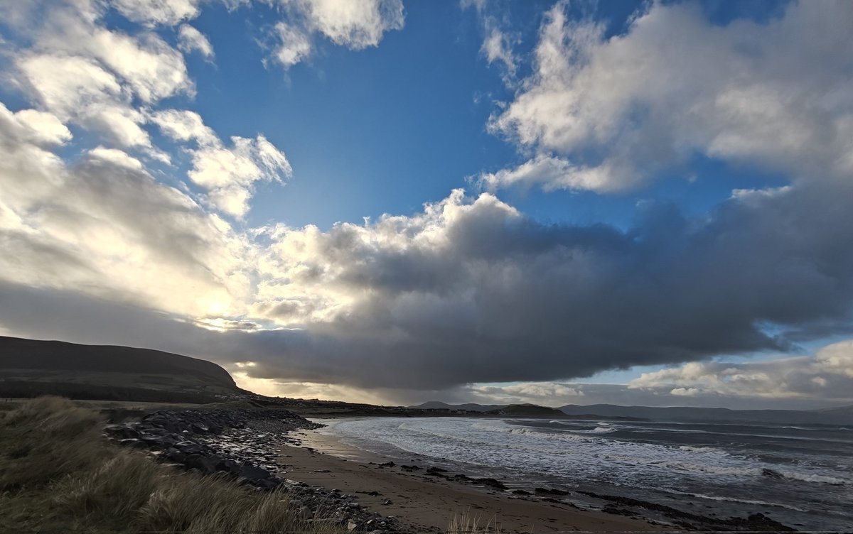 Cllr Marie Casserly tweet media