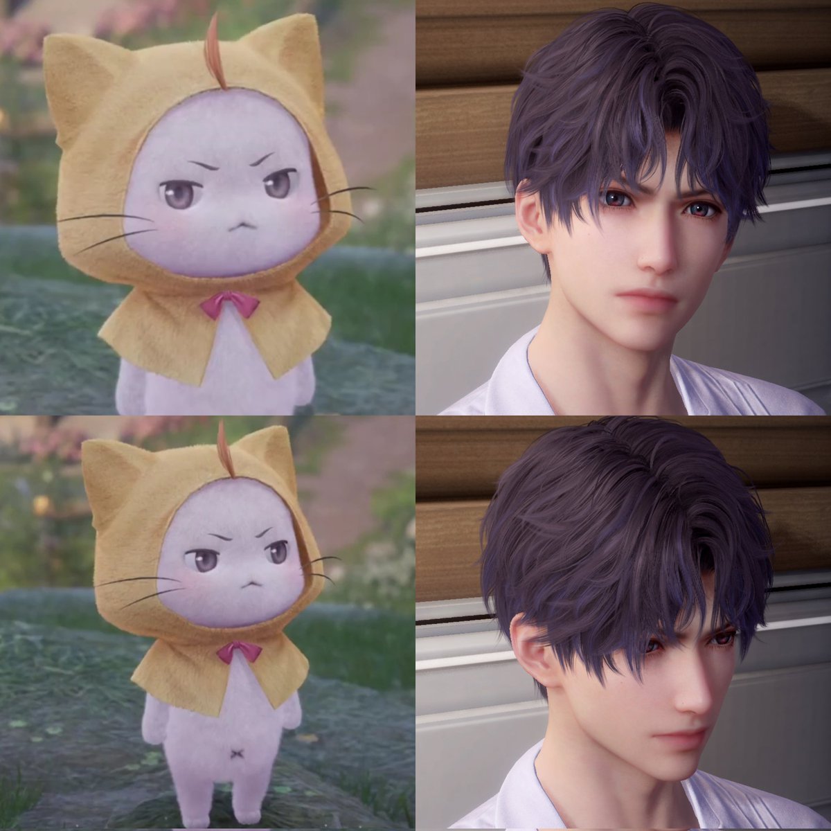 rafayelpainter's tweet photo. why people say this cat looks like me https://t.co/ylW05JqBt5