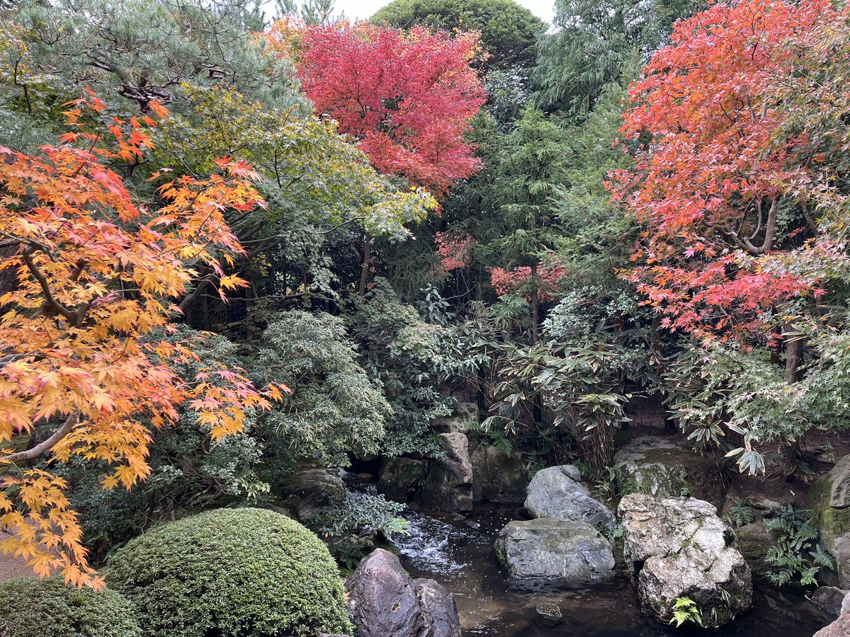 moeko_yabui's tweet photo. あとこちら
庭園は綺麗だったけれど
個人的には日本画の繊細な線や色味、生き物たちから感じる生きた命に感動しました。 https://t.co/bfkbAxeTB2