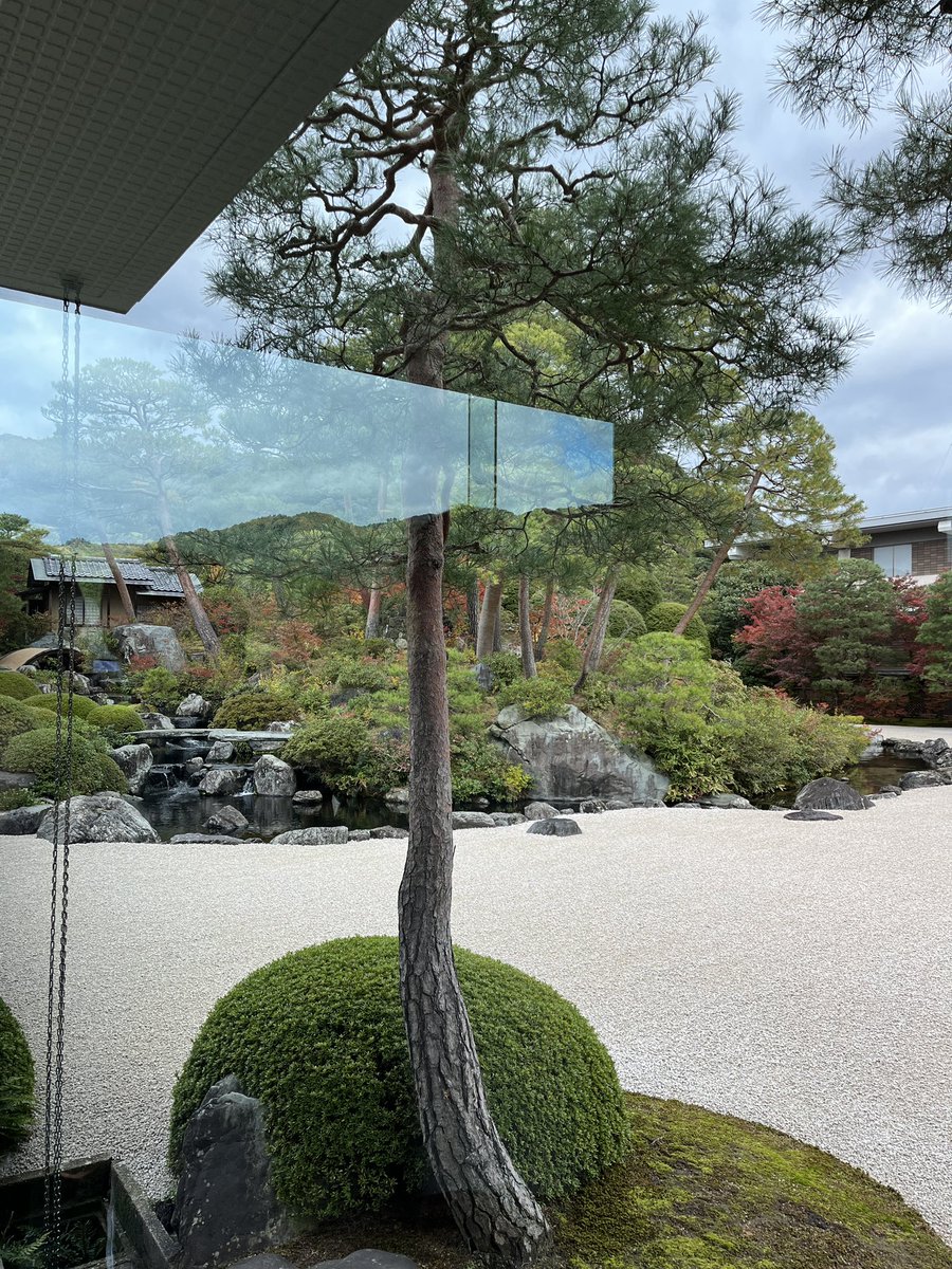 moeko_yabui's tweet photo. あとこちら
庭園は綺麗だったけれど
個人的には日本画の繊細な線や色味、生き物たちから感じる生きた命に感動しました。 https://t.co/bfkbAxeTB2