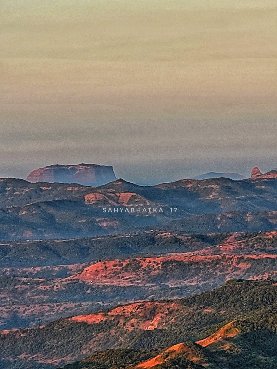 सोनू बालगुडे पाटील🚩 tweet media