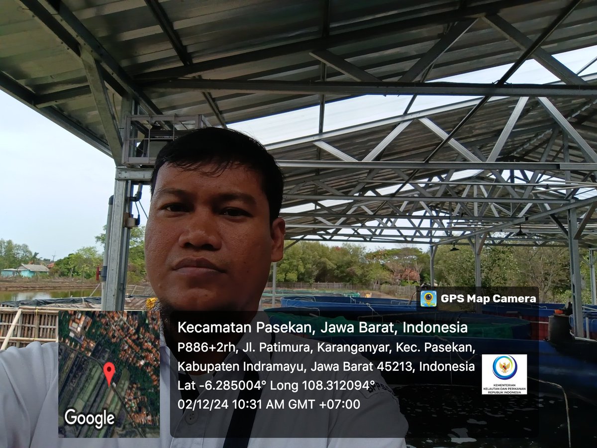 dharmadhama's tweet photo. Senin, 02/12/24. Darmadi, Penyuluh Perikanan kab Indramayu melakukan kunjungan kelompok ke Pokdakan Rades Wana Jaya Desa Karanganyar Kec. Pasekan Kab. Indramayu
#GiatLuhkanSatminkalbogor #kkp #puslatluhkp #luhlapor https://t.co/TfgbIY4yp0