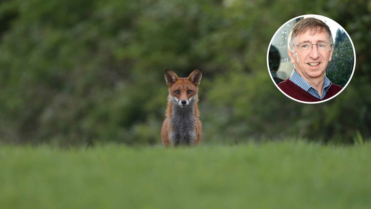 Well done, Louis! 📸 👏

A talented photographer from #Rostrevor has earned a spot in Ulster Wildlife’s 2025 charity calendar, now available for purchase to support vital efforts in reversing nature’s decline.

Read more &gt;&gt; newrytimes.com/2024/12/05/ros…

#Newry