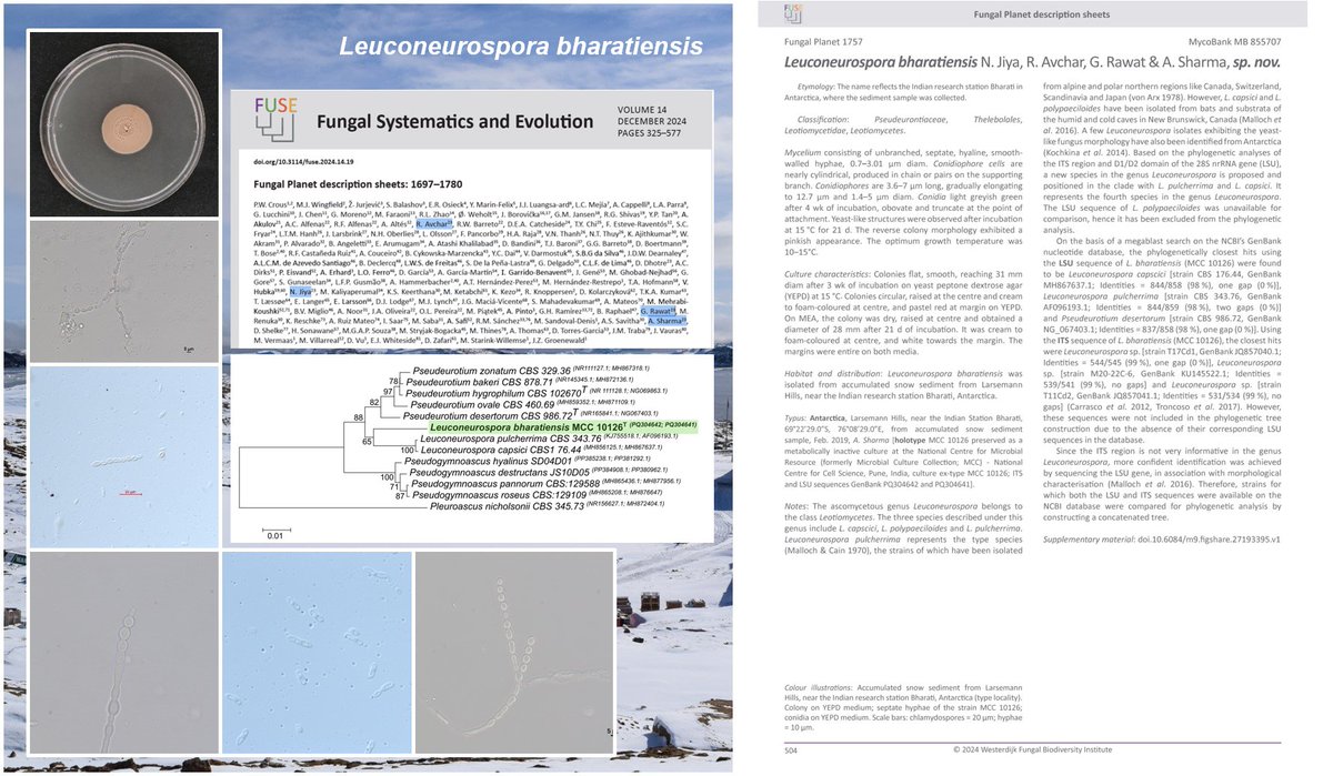 Ram avchar, Ph.D. tweet media