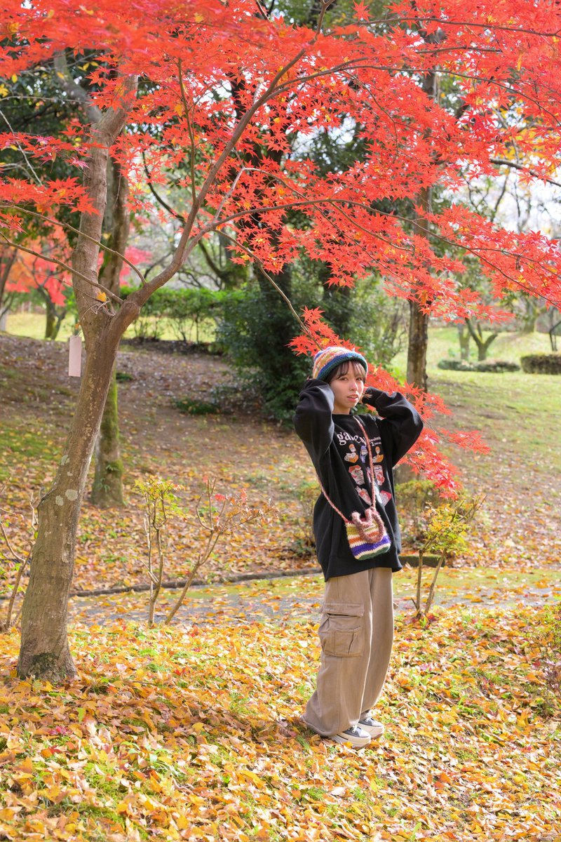 やっと紅葉してた
