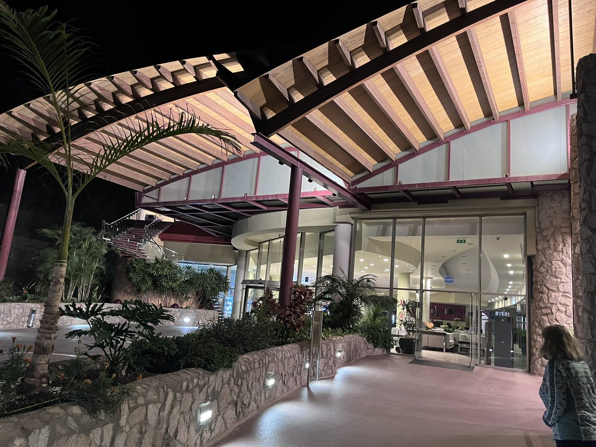 Disa Økland tweet media