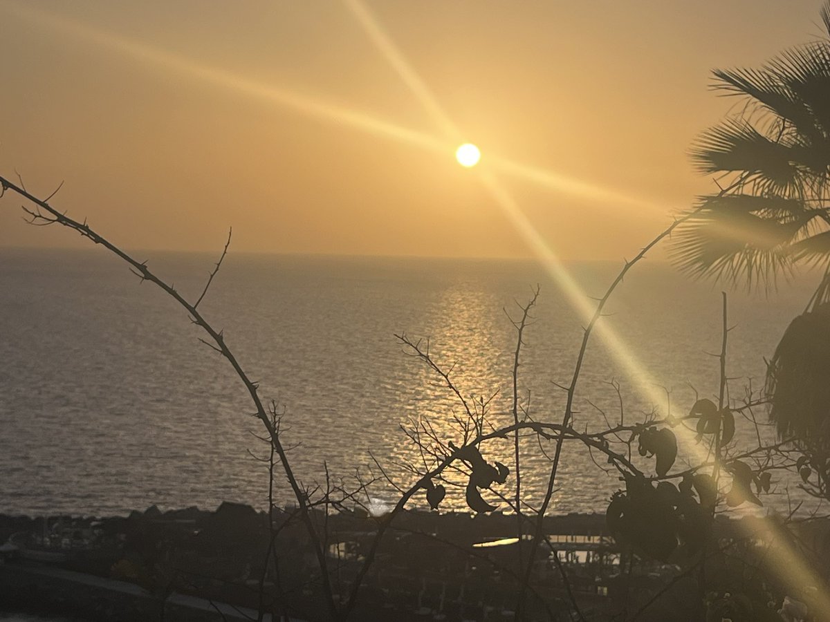 Disa Økland tweet media