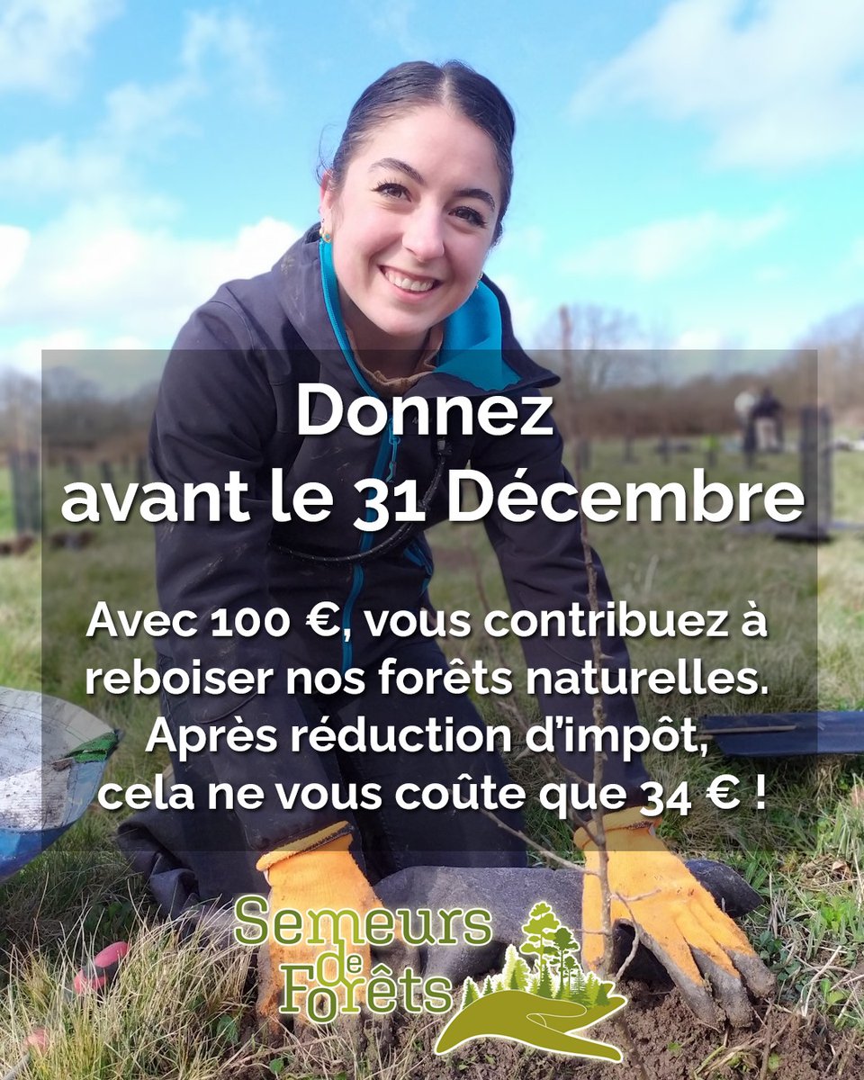 Semeurs de forêts tweet media
