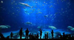 GUGGENHEIM ÜBERFLUTEN
BASKISCHE ANSICHTEN (K-62)
baskultur.info/aktuell/die-ko…