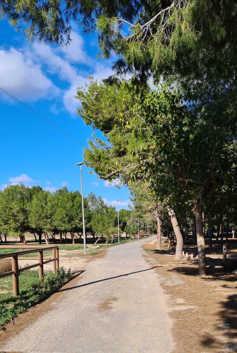 wendy1704's tweet image. Sunday morning walk for breakfast! #EasyLikeSundayMorning #brekkie #exercisemotivation