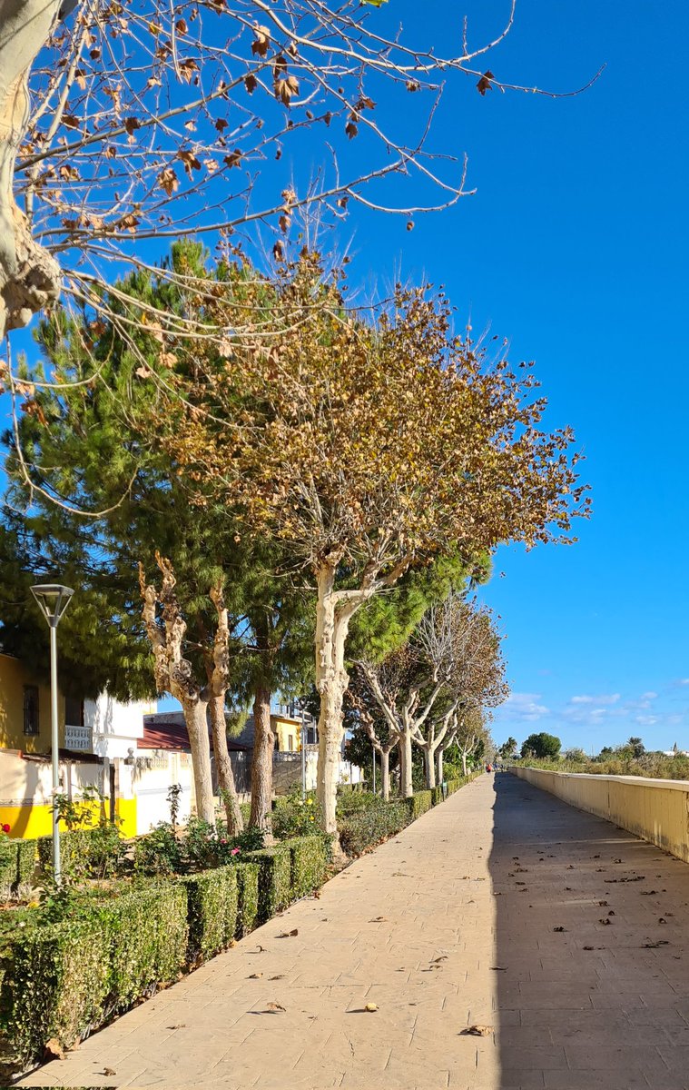 wendy1704's tweet image. Sunday morning walk for breakfast! #EasyLikeSundayMorning #brekkie #exercisemotivation