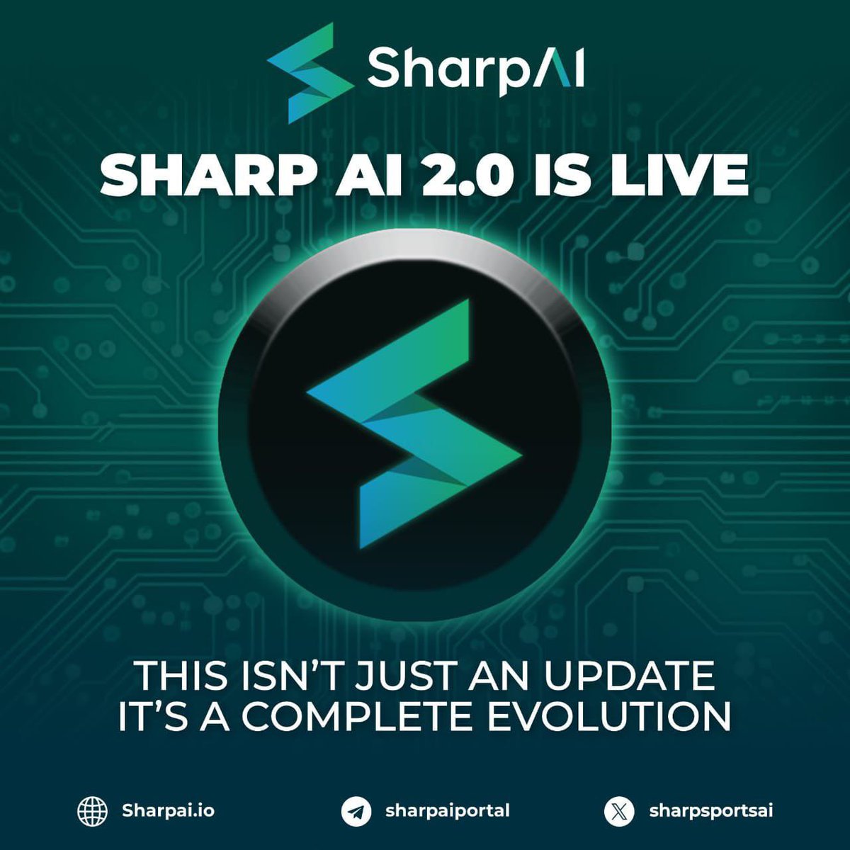 MANDO CT 🇮🇪 🇦🇪 🇬🇧 tweet media