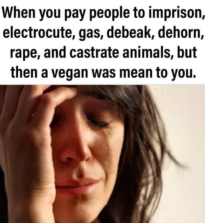 ©anines tho™ ᕕ( ᐛ )ᕗ (@shortnblunttho) on Twitter photo 