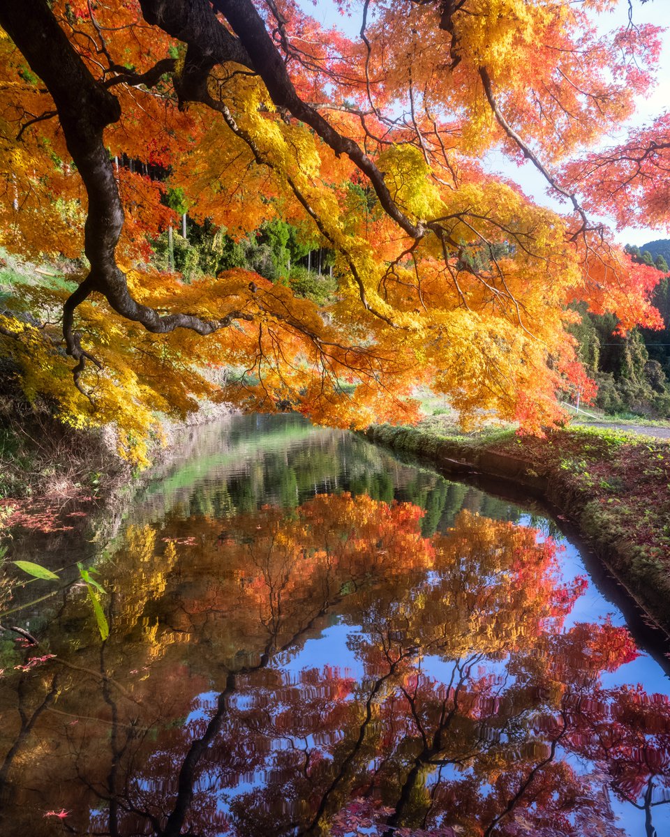 tikitakasaka03's tweet photo. 里山の秋🍁

#紅葉
#autumn_leaves
#landscapephotography
#tokyocameraclub
#私とニコンで見た世界 https://t.co/G989ADdlsC