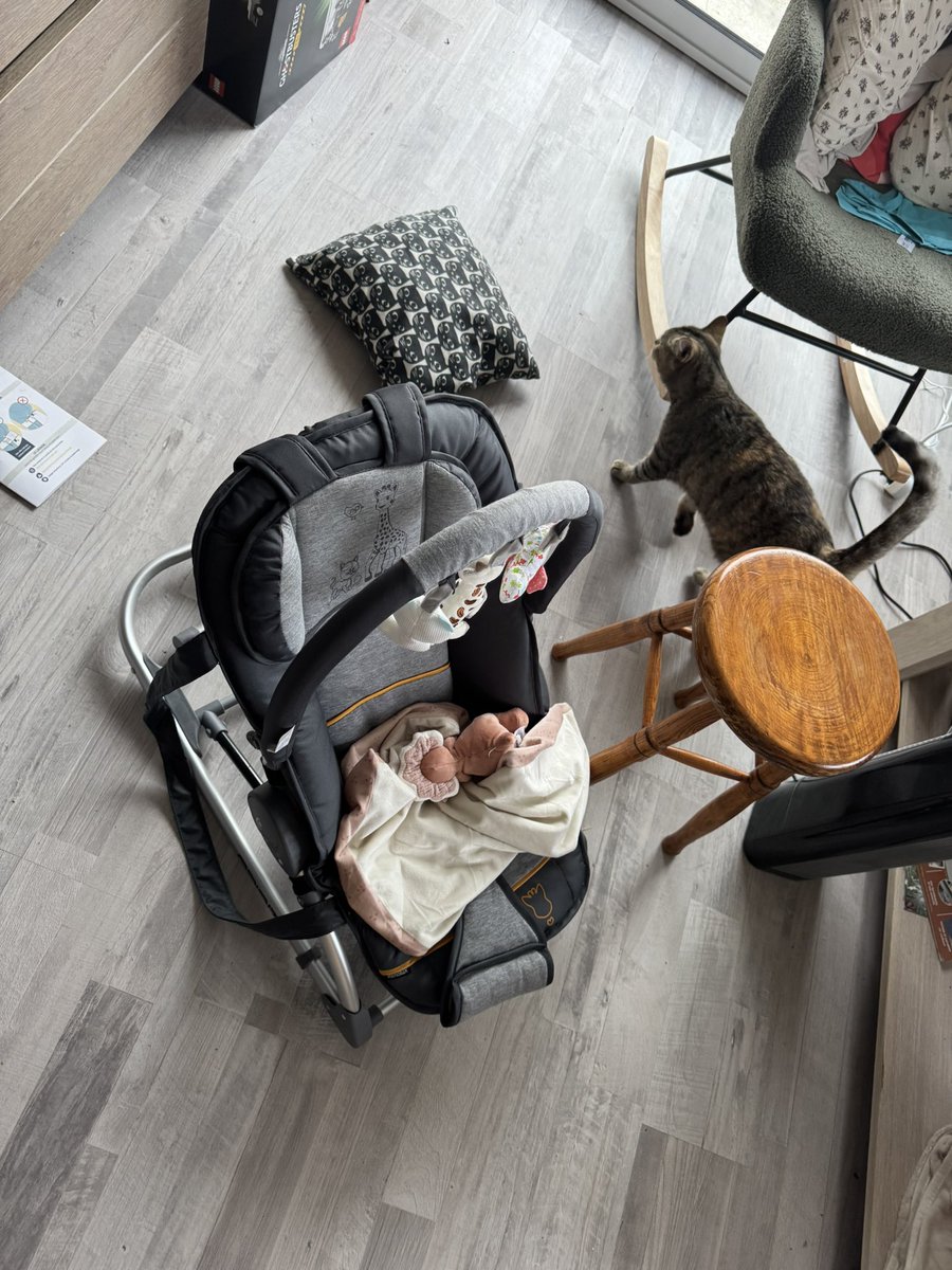 Lesp’titspoilus🐾 tweet media