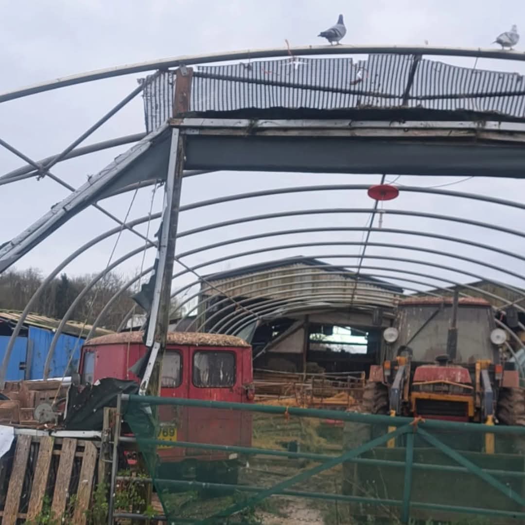 fars_sanctuary's tweet photo. 💨 STORM UPDATE 💨
Overnight the remainder of the polytunnel roof has blown off so, devastatingly, we are left with just a shell 😔

We are immensely grateful for everyone's support so far – donations, shares &amp; kind messages 🥰🤗

Pls help if you can 🐑

https://t.co/gBSfkCqXRF https://t.co/0k9GiibNRO