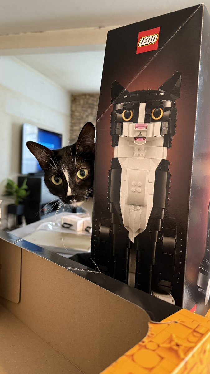 OceanBlueEyez_'s tweet photo. Une folie les sets lego ??? https://t.co/bcDf0Qh0Jm