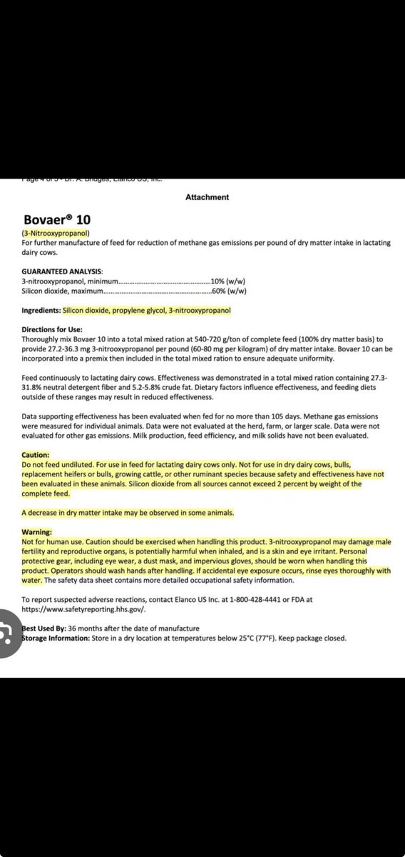 Michelle tweet media