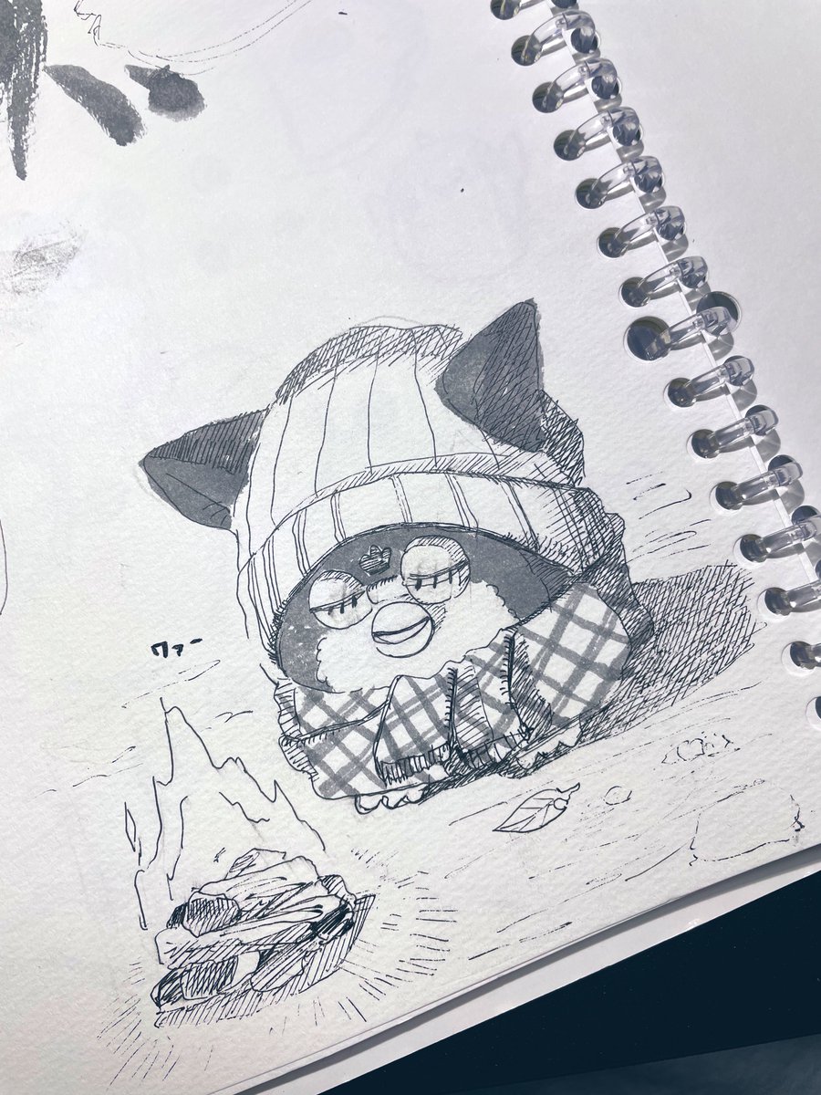 突然、本気冬が到来してきた
朝と夜は寒い
昼は温い

これは焚きビー
 #ファービー