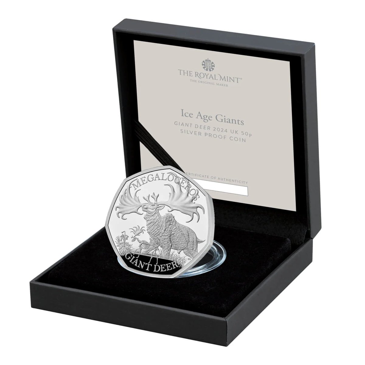 Bitsnbobs247's tweet image. The new 2024 Giant Deer 50p Silver Proof Coin - Limited to just 500 worldwide!

🦌 Missed your chance to grab one? Then got secure yours now -&amp;gt; ebay.co.uk/itm/3959608058…

#CoinCollectors #LimitedEdition #SilverProof #RareCoins #Gift #ChristmasGift #2024 #SilverCoin #50p