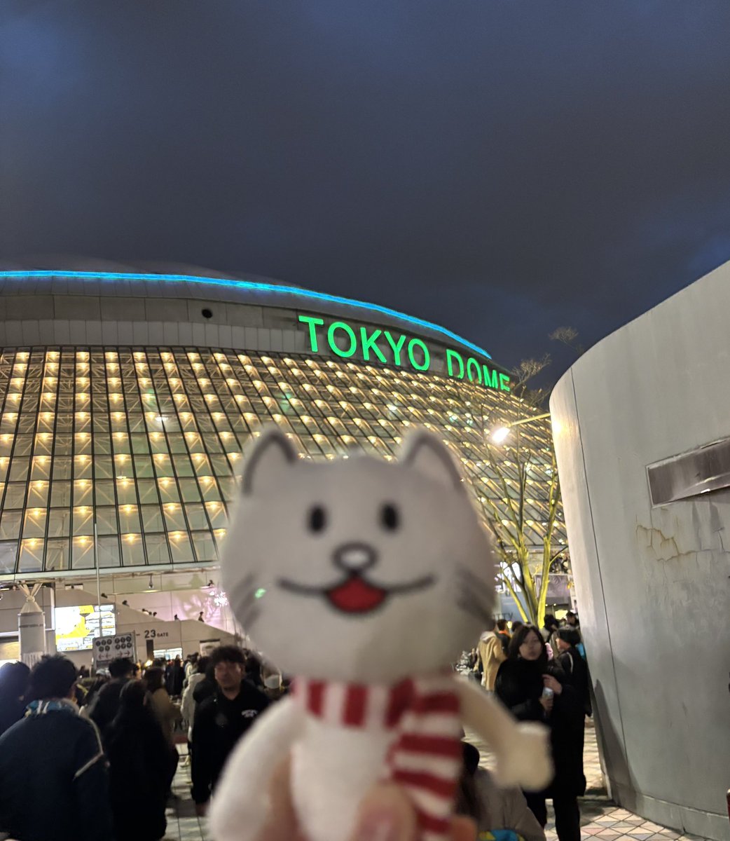 boc_bbhf_m's tweet photo. 昨日撮った写真、ニコルか背景のどっちかにしかピントが合ってないのなんで😭？ https://t.co/1SbnDxZ228