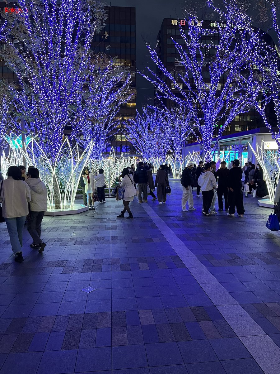 NAKAMI211's tweet photo. 昨日はイルミネーションを見に行きました。とても、綺麗でした。 https://t.co/Th64BSuXu6