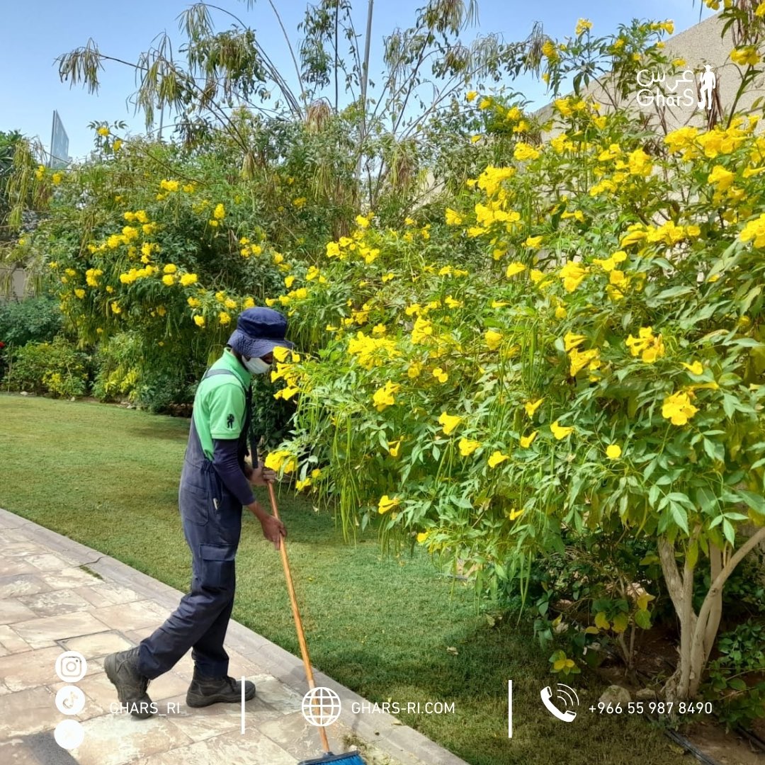ghars_ri's tweet photo. مهندسينا جاهزين لتلبية احتياجات حديقتك 👷🏻‍♂️

#غرس #تشجير #حدائق #مسابح

https://t.co/jAkRkvhXix https://t.co/MjNo5ZLp92