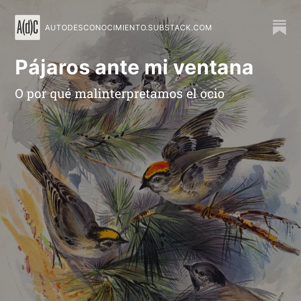 ds_conocimiento's tweet photo. «El ocio puede (no necesariamente, pero puede) vivirse desde la inacción, desde la languidez, desde la mera vivencia del pasar del tiempo. Como bien sabía Proust, el aburrimiento puede ser complejo y deleitoso.»

Para leer el texto completo: https://t.co/tLjmqZrI4y https://t.co/n1mFR4Wn1m