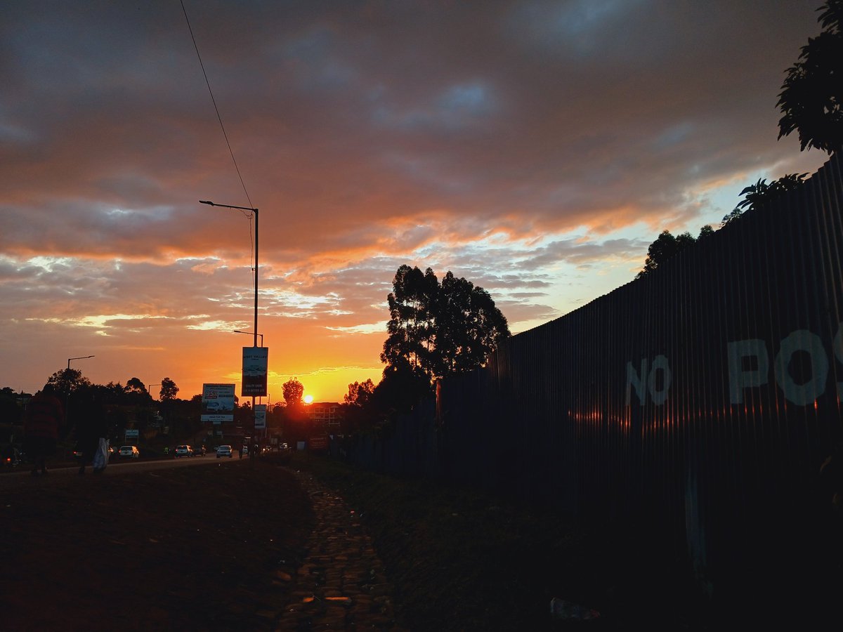 GREAT-NESS tweet media