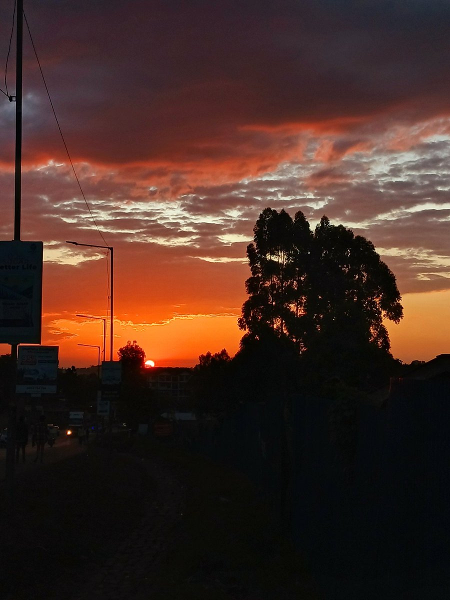 GREAT-NESS tweet media