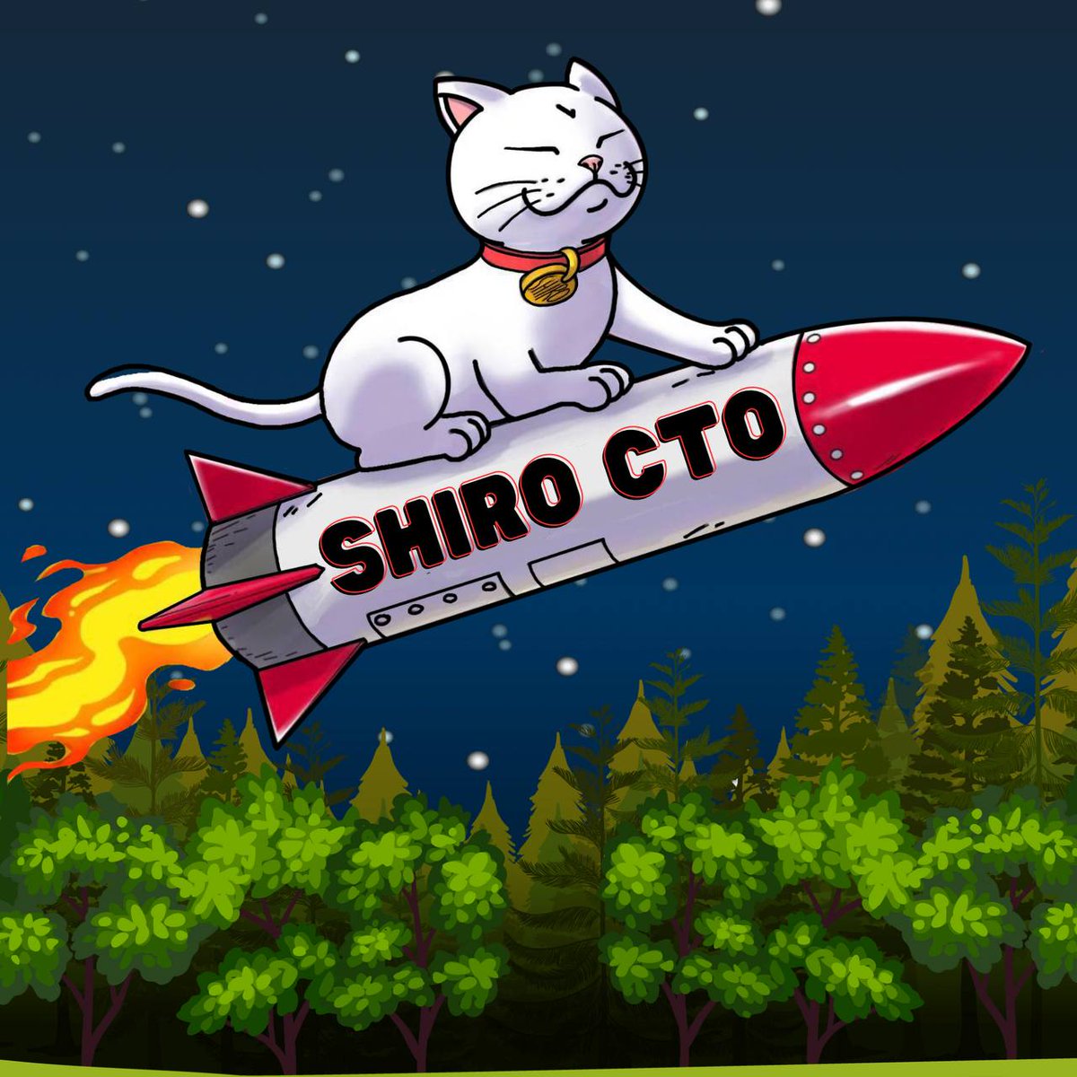 bfranzen11's tweet photo. @bcrice @MrBigWhaleREAL Solid CTO project with great connections in the crypto space. This narrative is sure a 100M GEM $SHIRO https://t.co/aWWhxS1xFu