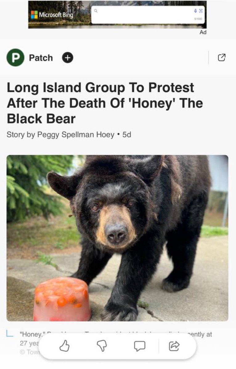 wutan de wu tweet media