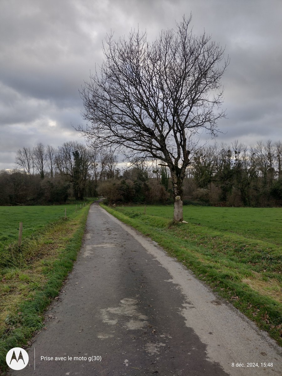 ThiChaplain's tweet photo. Bonne randonnée sauf la partie où ma chienne s'est barrée pour suivre des #lapins et j'ai fini chez @alexandre123698. #Paule #KreizBreizh https://t.co/2qPHdhlhy8