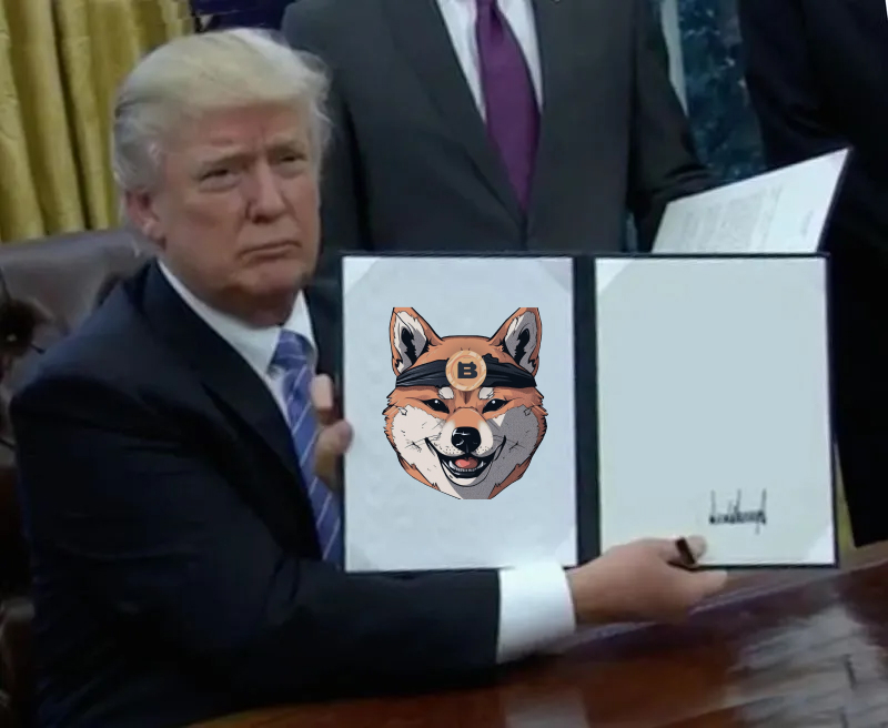 BitDoge tweet media
