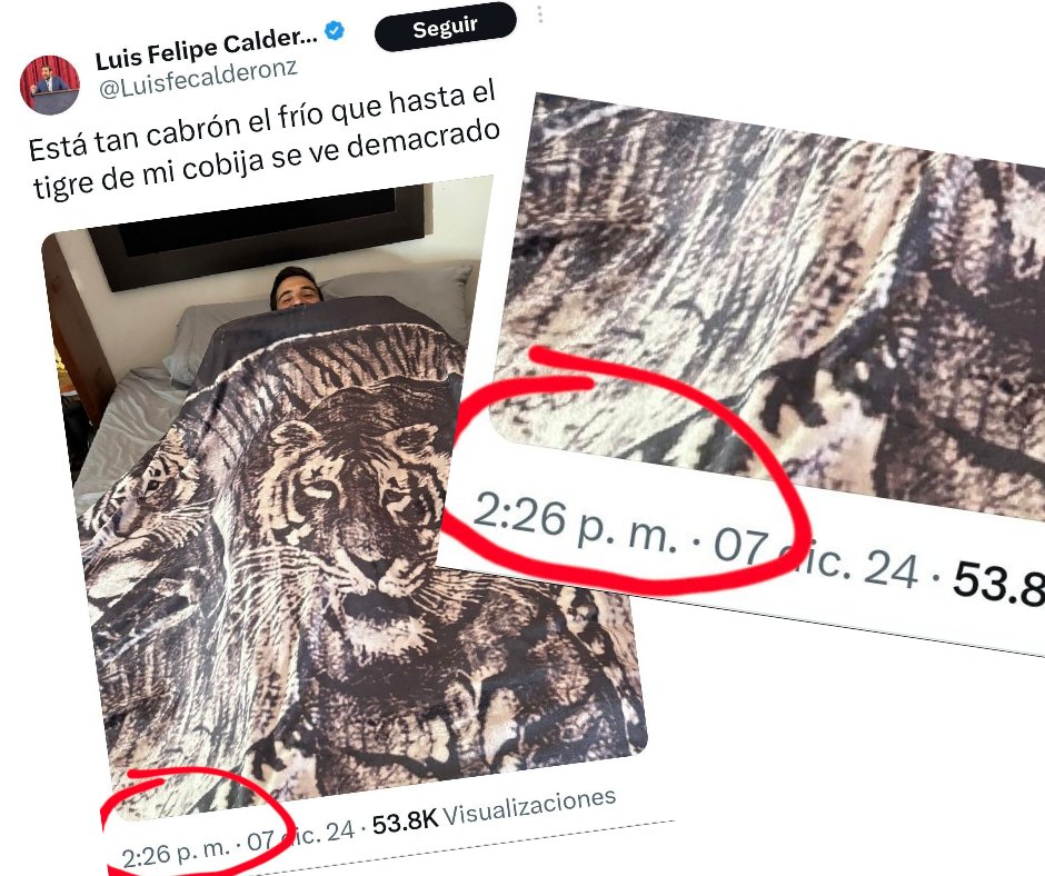 ZuritaCarpio's tweet photo. Quién cómo El Moles que puede estar en cama hasta las 3 de la tarde. https://t.co/ix9IxG2kTQ